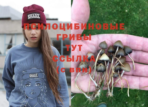COCAINE Богданович