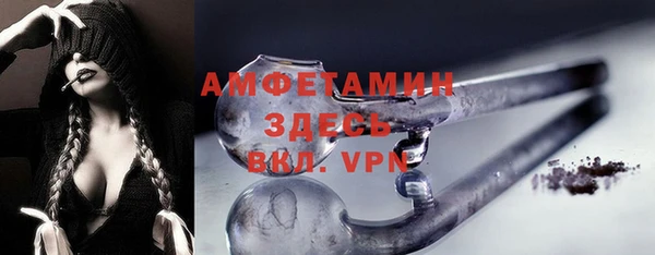 spice Богородицк