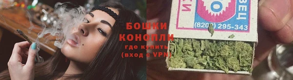 крисы Богородск
