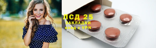 spice Богородицк