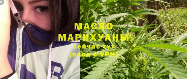 spice Богородицк