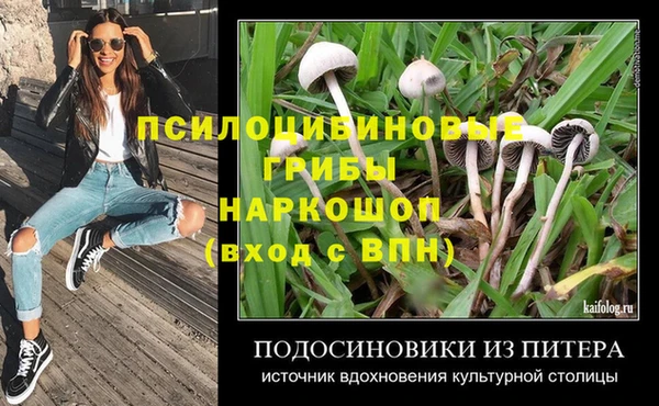 крисы Богородск