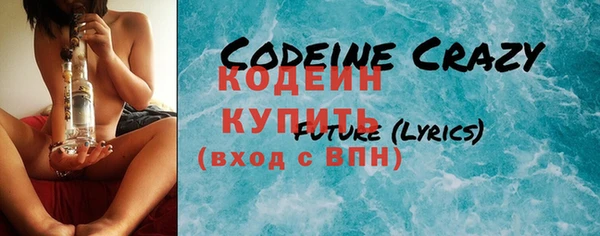spice Богородицк