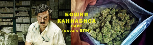 spice Богородицк