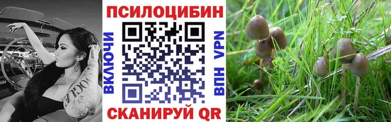 Галлюциногенные грибы Psilocybe  блэк спрут ССЫЛКА  Севастополь  закладки 
